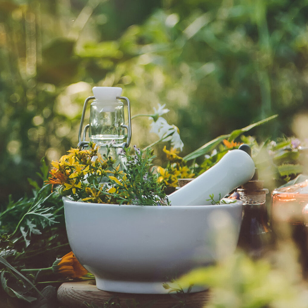 Medicinal herbs and tinctures alternative medicine. Selective focus.